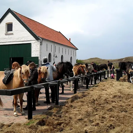 Haus Admiral Wintergarten * Spiekeroog